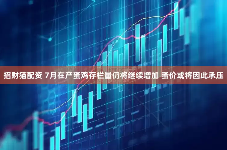 招财猫配资 7月在产蛋鸡存栏量仍将继续增加 蛋价或将因此承压