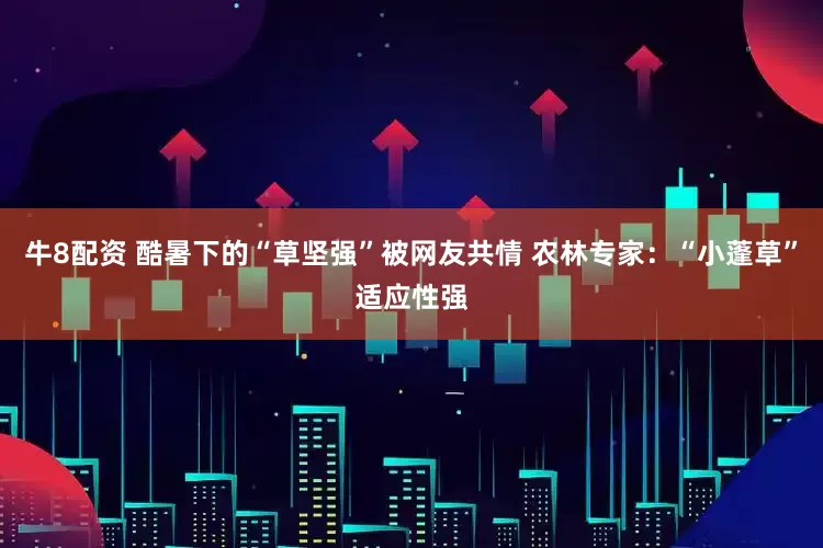 牛8配资 酷暑下的“草坚强”被网友共情 农林专家：“小蓬草”适应性强