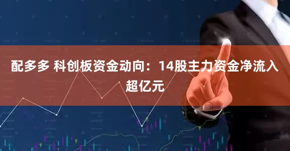 配多多 科创板资金动向：14股主力资金净流入超亿元
